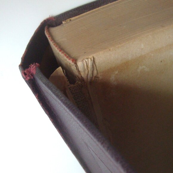 The Principles and Practices of Beauty Culture Official Textbook Wilfred Academy - Picture 15 of 16